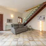 Apartmán Sunlit 47